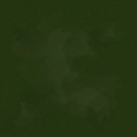 ttJN-C2970  EVERGREEN